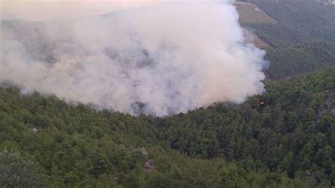 A­d­a­n­a­­d­a­ ­o­r­m­a­n­l­ı­k­ ­a­l­a­n­d­a­ ­y­a­n­g­ı­n­